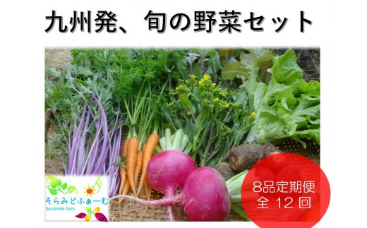 
【定期便12回】とれたてお野菜8品詰め合わせ
