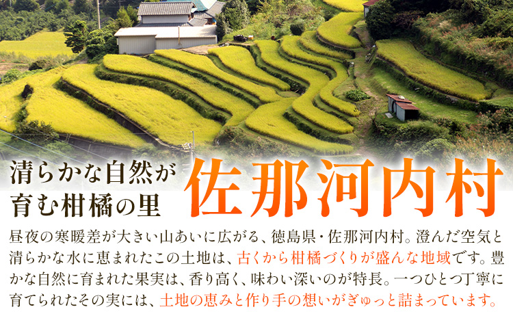 ゆず 訳あり 柚子 約1.2kg 《11月中旬-1月中旬頃発送》徳島県 佐那河内村 ゆず 柑橘 フルーツ 旬【配送不可地域あり】※離島---sanagouchi_lcl_62_1200g---