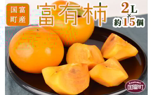 数量限定！予約受付！＜国富町産 富有柿 2L×約15個＞2025年11月中旬から12月中旬頃に順次出荷