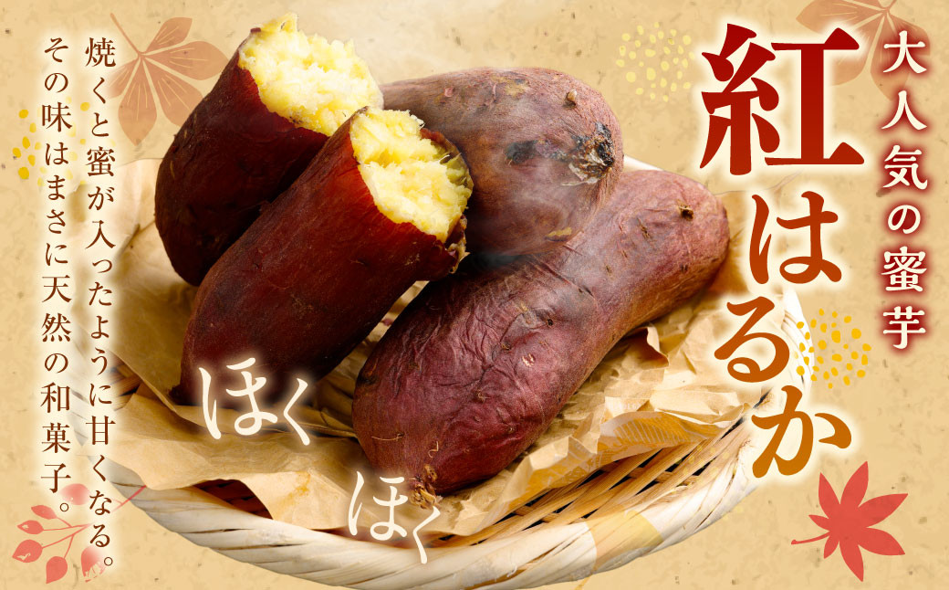 【 訳あり 】“熟成” 茨城県産 神栖市産 さつまいも 【 紅はるか 】 約10kg