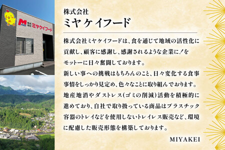 鶏肉 定期便 軟骨 若鶏 鶏軟骨 1kg 2p 6回 総計12kg [ミヤケイフード 宮崎県 美郷町 31bp0003] 小分け 冷凍 ヤゲン軟骨 ヤゲン なんこつ とりにく