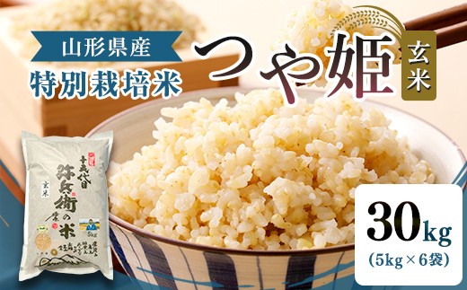 
                  【令和7年産】特別栽培米 つや姫 玄米 30kg（5kg×6袋） 山形県産 F2Y-4788
                