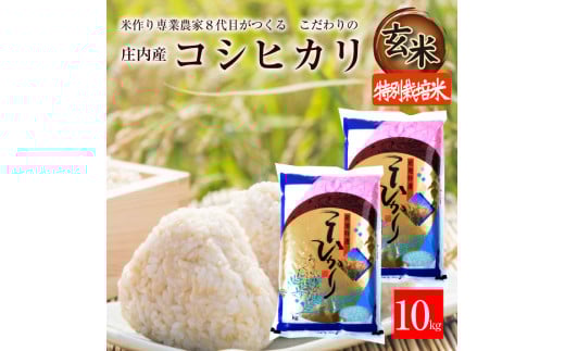 令和7年産【玄米】特別栽培米コシヒカリ　10kg(5kg×2袋)「農家直送」 KA SD0182