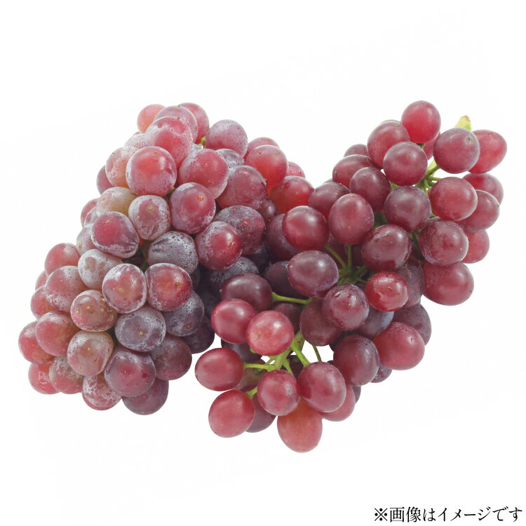 【ふるさと納税】【期間限定発送】 ぶどう 高畠町産 デラウェア 9〜12房 約 2kg [tk06ays870022 山形県 高畠町 JA山形おきたま] 種無し ブドウ 葡萄 くだもの 果物 フルーツ 産地直送