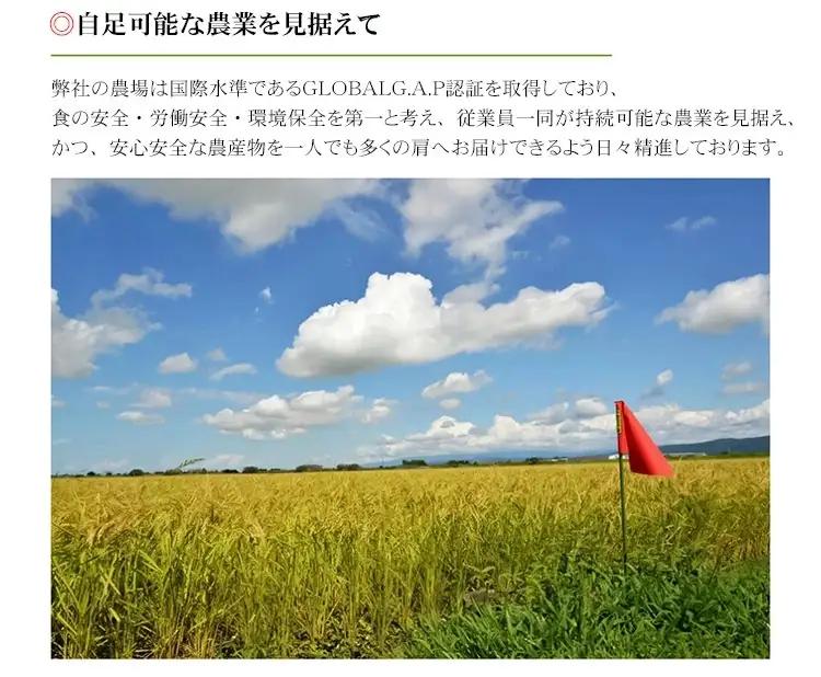 【令和7年産】おやじの米 JAS有機栽培米 つや姫 白米 5kg　山形県鶴岡産　鈴木農産企画
