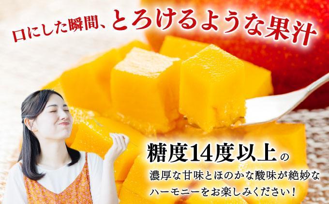 【2026年夏発送】【先行予約】プレミアム アップルマンゴー！2kg箱(4〜6玉)