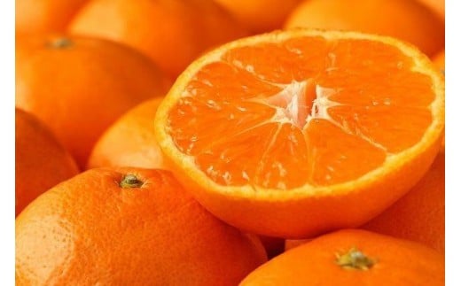 
                  和歌山産 みかん 秀品 3kg【ヤマタ大谷商店】
                