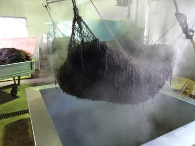 【005-49】ひじきご飯セット