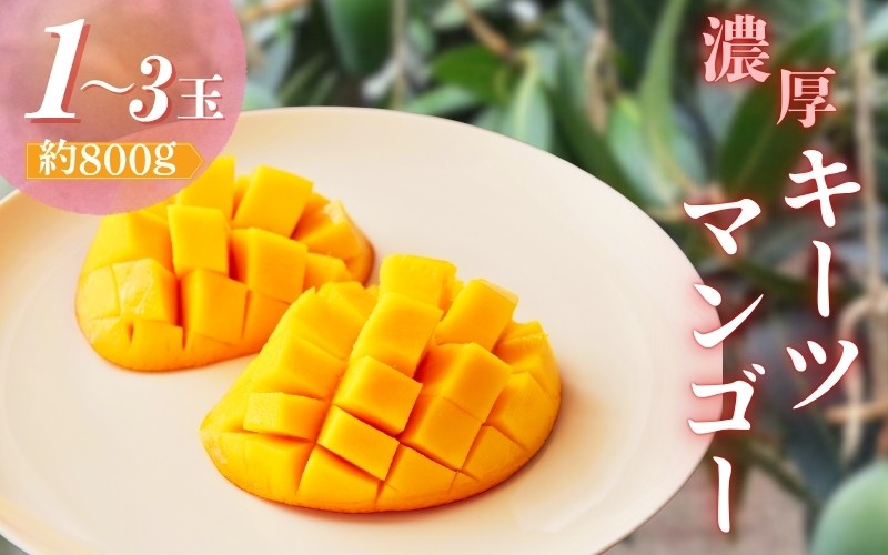 
            【希少マンゴー】濃厚キーツマンゴー　約800g(1～3玉)【ard041B】
          