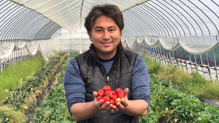 【 訳あり 】 冷凍 いちご 約2.5kg ( 500g × 5パック ) イチゴ 苺 アイス 冷たい 旬 凍眠 小分け 新鮮 お得 品種ランダム [AU069ya]