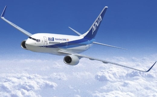 K-63001 ANAで行く！根室満喫プラン＜春旅＞東京－釧路往復航空券ホテル1泊付き【40,000円分助成】