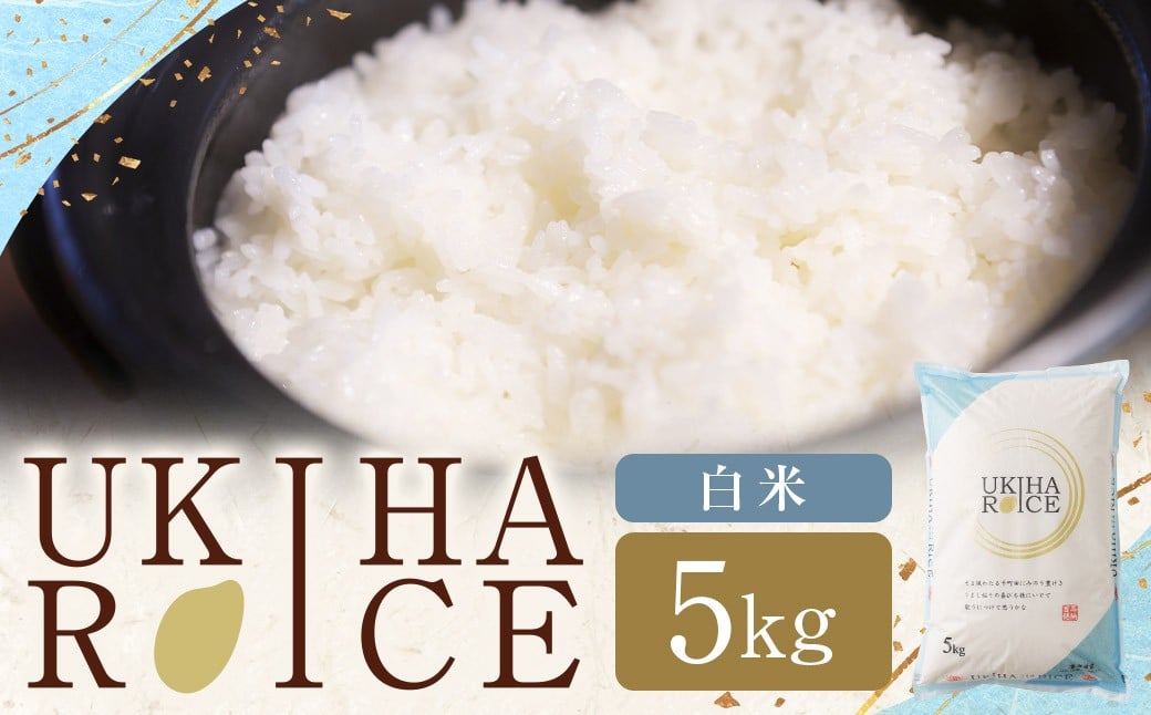 
            みずほファーム UKIHA RICE 白米5kg  【2025年11月初旬より順次発送予定】 ヒノヒカリ ひのひかり 米 こめ コメ お米 おこめ 白米 精米 ごはん ご飯 うきは市
          