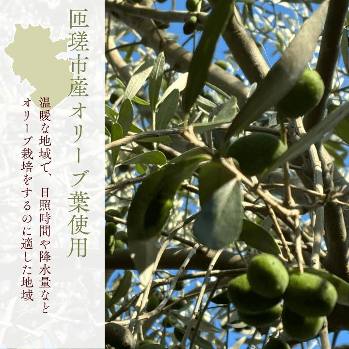 匝瑳オリーブ 千朋園　オリーブ茶　1袋 30g（2g×15パック） ／ お茶 オリーブ茶 オリーブ オレウロペイン ポリフェノール ティーバッグ