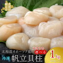 【ふるさと納税】北海道オホーツク産 冷凍帆立貝柱 500g×2 【 ふるさと納税 人気 おすすめ ランキング ホタテ ほたて 帆立 貝柱 ホタテ貝柱 ほたて貝柱 帆立貝柱 ホタテ刺身 帆立刺身 1kg 魚介 魚介類 海鮮 小分け 天然 オホーツク 北海道 網走市 送料無料 】 ABR005