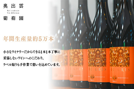 奥出雲葡萄園　杜のワイン赤　6本セット