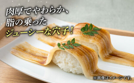 【全6回定期便】対馬 穴子 開き 800g [WAD045] アナゴ あなご 天ぷら 穴子重 開き 