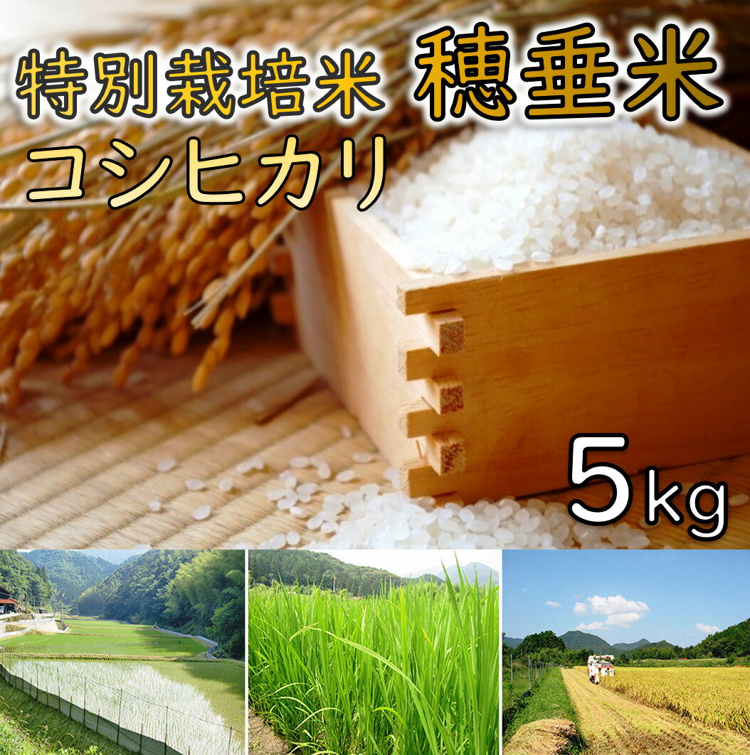 【ふるさと納税】米 精米 白米 特別栽培米 穂垂米　「コシヒカリ」 5kg (1024)