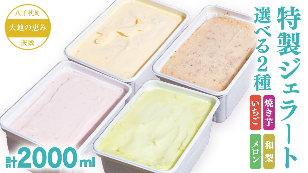 
            【 フレーバーを選べる 】 大地の恵み ！ お好きなフレーバーから選べる ジェラート 計2000ml （ 1L × 2個 ） アイス アイスクリーム デザート スイーツ 焼き芋 いちご 和梨 メロン ふるさと納税 10000円 [AU098-103ya][SZRY]
          