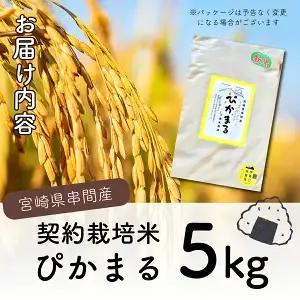 ＜数量限定＞【令和8年産】【超早場米】低アミロース米『 ぴかまる 』5kg_K028-002-R8