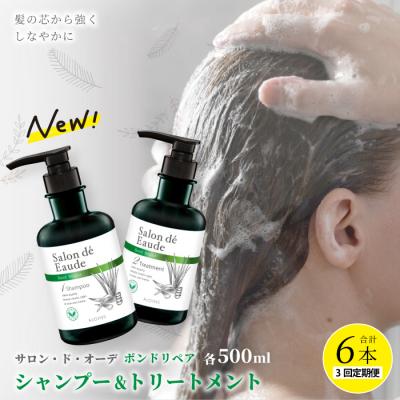 ふるさと納税 四万十市 【3回定期便】サロン・ド・オーデ ボンドリペア シャンプー&amp;トリートメント(各500ml)2点セット