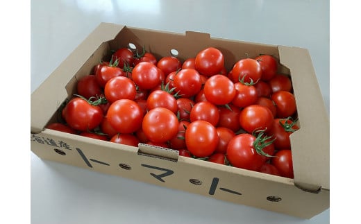 北海道産 上ノ国町寅福菜園の高リコピントマト「サステナブルトマト」　4㎏