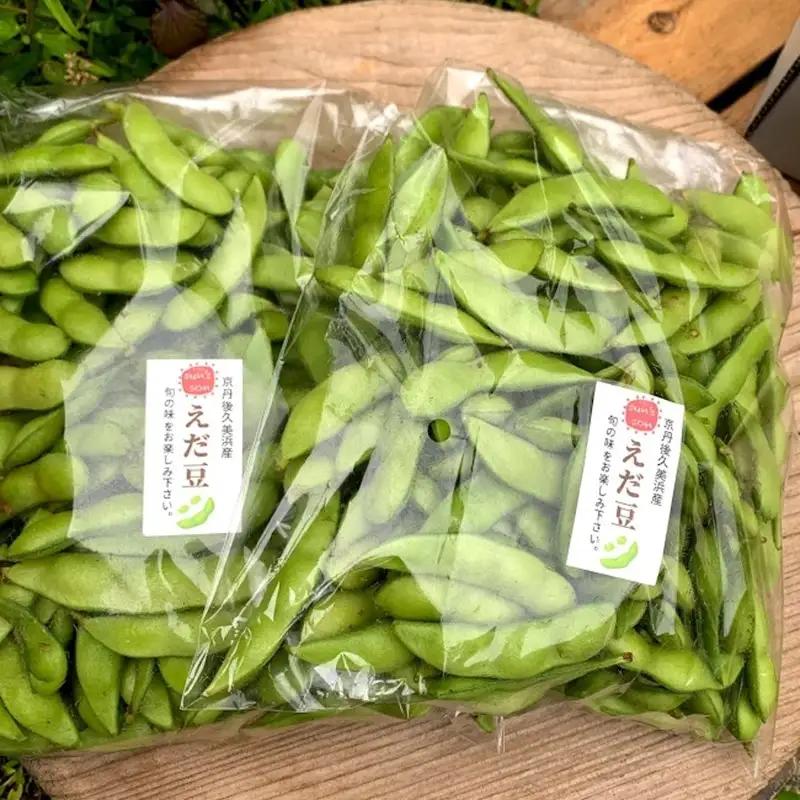 【数量限定】朝採り枝豆（湯上り娘）500g（250g×2パック）（栽培期間中農薬・化学肥料・除草剤不使用）（2027年7月上旬～発送） 枝豆