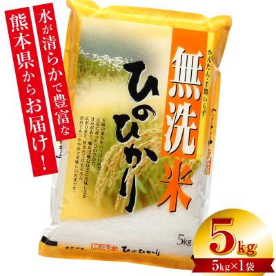 ふるさと納税 八代市 【令和7年産】 熊本県産 無洗米 熊本ひのひかり 5kg (5kg×1袋)_132-5123-B