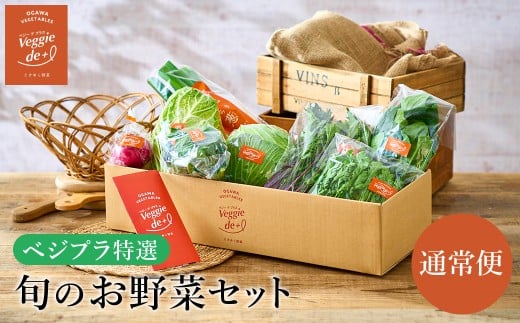 旬の新鮮なお野菜を産地直送！ベジプラ特選 旬の野菜セット【1回お届け 】 / 野菜 詰め合わせ セット 野菜セット 新鮮 ギフト やさい 苦みが少ない 甘みが強い Veggie de＋