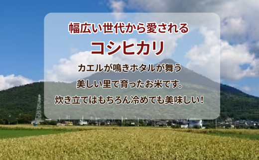 【先行予約】【定期便 3ヶ月】令和8年産 筑波山麓ホタルの里厳選米コシヒカリ5kg 透き通った大粒米 ※2026年11月～発送