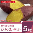 【ふるさと納税】【11月発送開始】鮮やかな黄色のさつまいも ひめあやか5kg（茨城県共通返礼品・行方市産）（AK007）