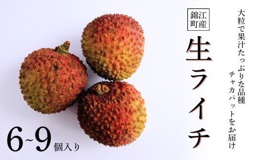 
                  【先行受付】No.1431-1　愛果ライチ〈チャカパット〉
                