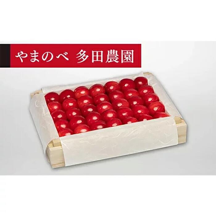 【ふるさと納税】《2026年先行予約》【特選佐藤錦】桐箱詰 約300g【やまのべ多田耕太郎のさくらんぼ 多田農園】期間限定 数量限定 山形県産 サクランボ フルーツ 果物 くだもの 贈答 F4A-0033