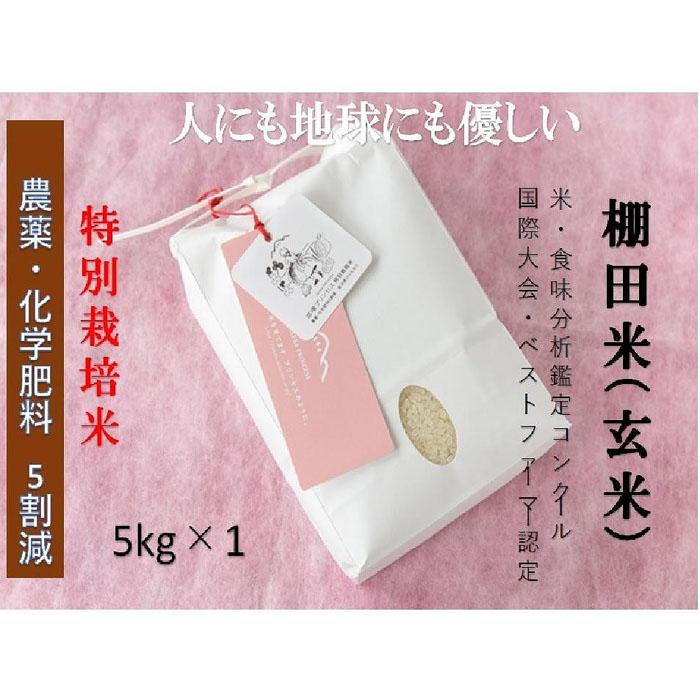 【ふるさと納税】【2025年産新米】【農薬化学肥料5割減】魚沼産コシヒカリ 苗場プリンセス 特別栽培米 玄米 5kg（5kg×1袋）