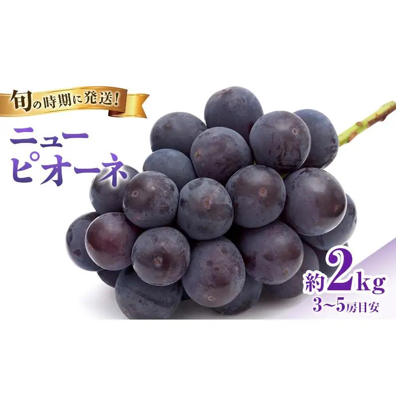 【2026年先行受付】 ぶどう ニューピオーネ 秀品 約2kg(3～5房)  岡山県産 ピオーネ