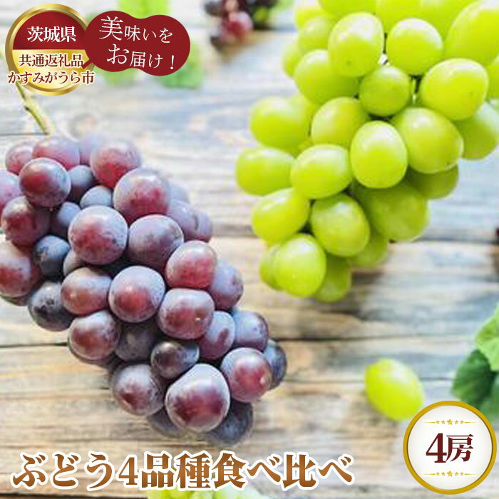 【ふるさと納税】No.605 【先行予約】ぶどう4品種食べ比べ【茨城県共通返礼品 かすみがうら市】 ／ ブドウ 葡萄 フルーツ 果物 送料無料 茨城県
