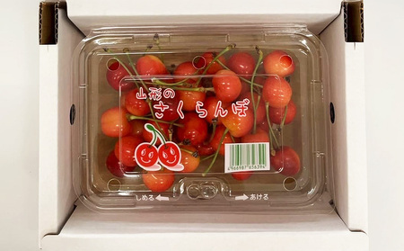 山形さくらんぼ (祝)栽培150周年記念！佐藤錦 200g L玉 数量限定！【令和8年産先行予約】FS25-060