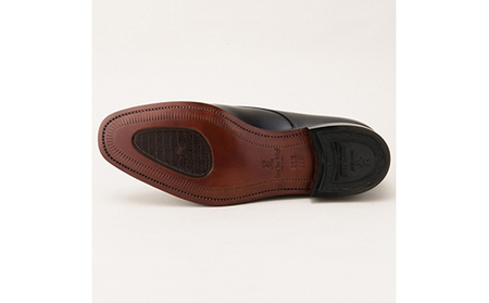 スコッチグレイン 紳士靴 「アシュランス」 NO.3524 メンズ 靴 シューズ ビジネス ビジネスシューズ 仕事用 ファッション パーティー フォーマル 27.0cm