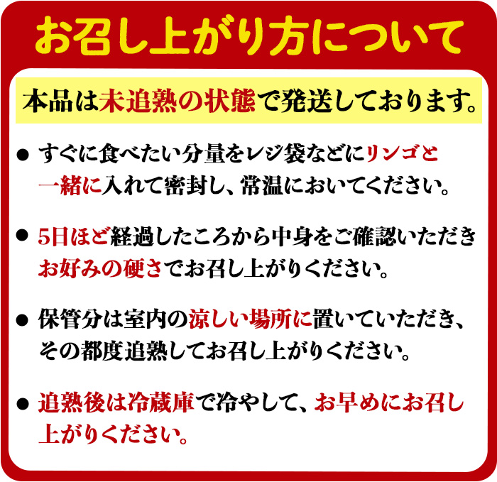 ＜先行予約受付中！2026年10月以降順次発送予定＞【訳あり】茨城県産 黄色いキウイ 4.5kg 訳あり 訳アリ キウイ キウイフルーツ 果物 フルーツ 青果物 【こばしファーム】【ho1550】