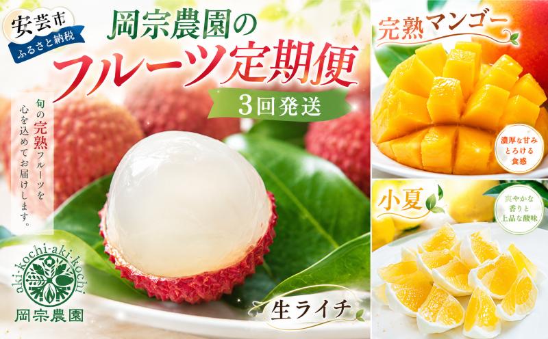 
                  【 年3回発送 岡宗農園のフルーツ定期便 】小夏 マンゴー ライチ 旬 果物 定期便 国産 生ライチ 完熟マンゴー 小夏 旬 直送 甘酸っぱい 爽やか 南国 フルーツギフト 春 初夏 糖度14度以上 希少 人気 おすすめ 果物定期便 数量限定 期間限定 果物 セット 安芸市 高知県
                