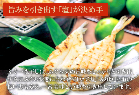 ふぐ・のどぐろ一夜干【3回定期便】【干物 ふぐ 3～7尾 210g のどぐろ 3尾 1尾：81～100g 定期便 定期 3回 ノドグロ フグ 河豚 一夜干し 贈答 ギフト 島根県 大田市】