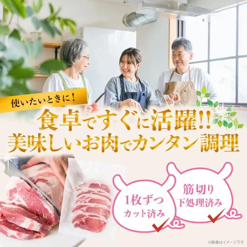 ≪宮崎ブランドポーク≫ロース(トンテキ・とんかつ用)計1kg 肉 豚 豚肉 国産_T023-0115