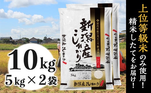 31-K101新潟県産コシヒカリ10kg（5kg×2袋）