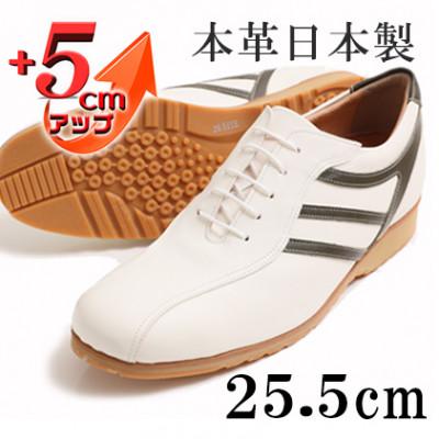ふるさと納税 大和郡山市 メンズスニーカー 紐タイプ 5cmアップシークレットシューズ ホワイト 25.5cm No.997
