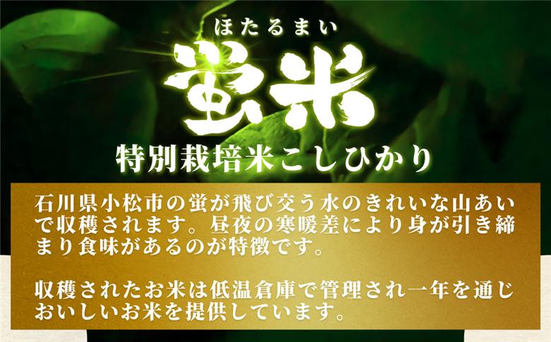 『蛍米』 パックごはん180g×36個入り 特別栽培米こしひかり パックご飯 パックライス コシヒカリ 36食 石川県 小松市産 お米 防災用 024026