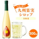 【ふるさと納税】九州を飲む！九州果実シロップ 日向夏 500ml 1本 果実 シロップ 柑橘 果汁 はちみつ ハチミツ 送料無料