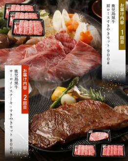 鹿児島黒牛 ステーキ ＆ すきやき 食べ比べ 3回 定期便 合計2.9kg