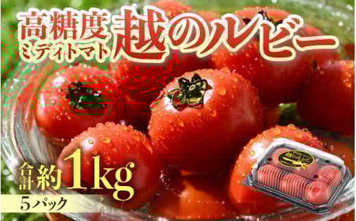 【先行予約】高糖度 ミディトマト 越のルビー パック入り 約1kg 5パック（4パック＋品質補償1パック） / 福井県産 ブランド トマト 福井県産ブランドトマト  農家直送 有機肥料 低農薬 完熟 甘い ※2026年9月下旬より順次発送 [aw069-a009]