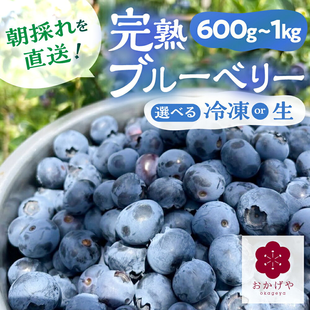 【ふるさと納税】 ≪7月〜8月発送≫ 朝採れ直送 フレッシュブルーベリー 600g 〜1kg 選べる 生/冷凍 ブルーベリー 生 大粒 小分け 直送 国産 果物 フルーツ 旬 おいしい 美味しい 先行予約 旬の果物 スムージー 農家直送 朝採れ 完熟 詰め合わせ 岐阜県 郡上市 無農薬 冷凍