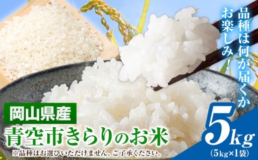 令和7年産 青空市きらり 5kg 岡山県産 (品種はお選びいただけません) 青空市きらり《30日以内に発送予定(土日祝除く)》岡山県 矢掛町 白米 精米 米 コメ