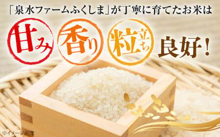 【令和6年産米】泉水の米 こしひかり 5kg 白米 お米 ご飯 コシヒカリ 三次市/泉水ファームふくしま[APAJ006]